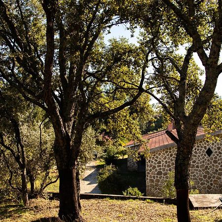 Quinta Dos Sincais Bed & Breakfast Guarda Exterior photo