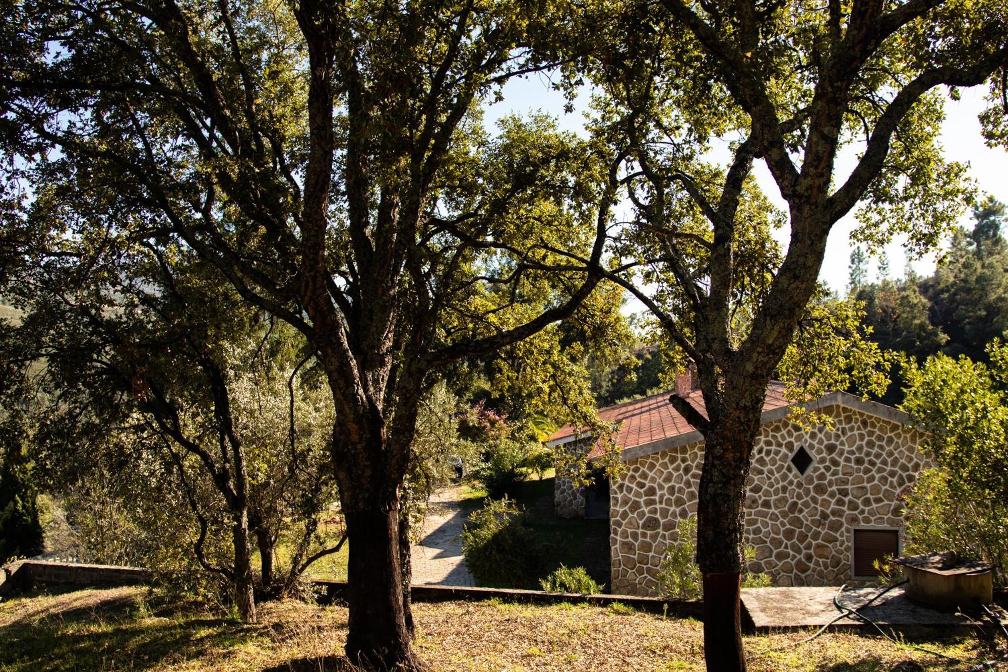 Quinta Dos Sincais Bed & Breakfast Guarda Exterior photo
