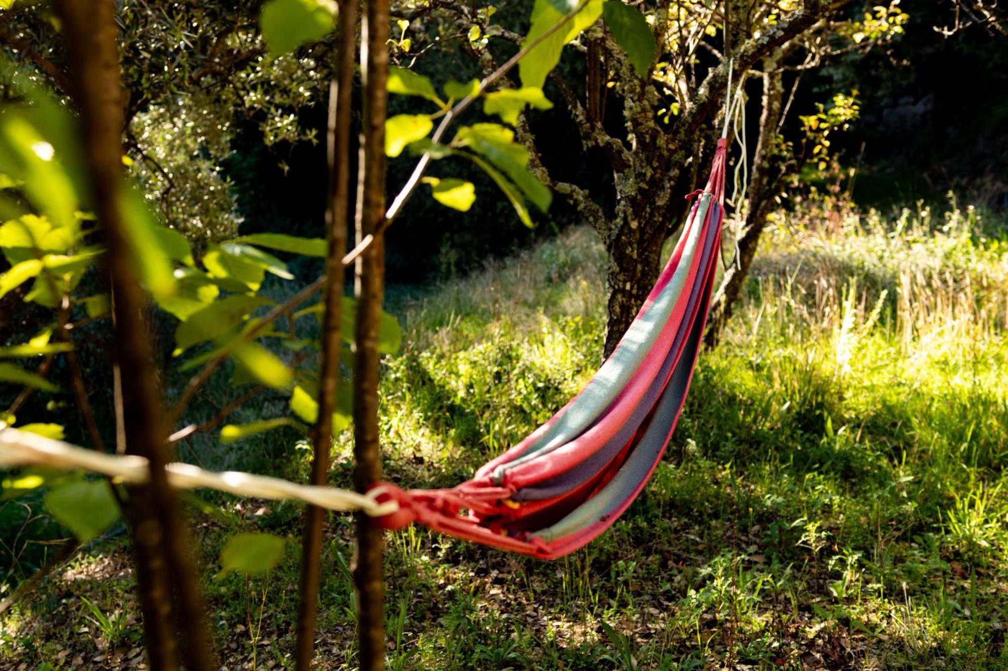 Quinta Dos Sincais Bed & Breakfast Guarda Exterior photo
